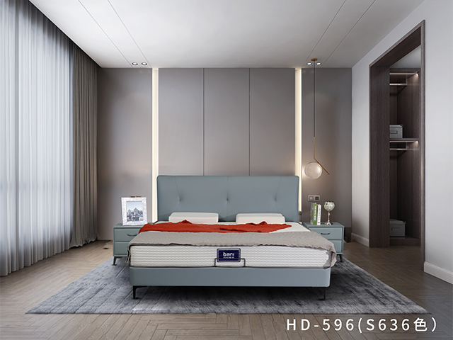 HD-596（S636色）