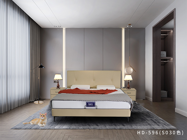 HD-596(S030色)